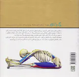یوگا و آناتومی ج2(آساناهای کلیدی هاتایوگا)